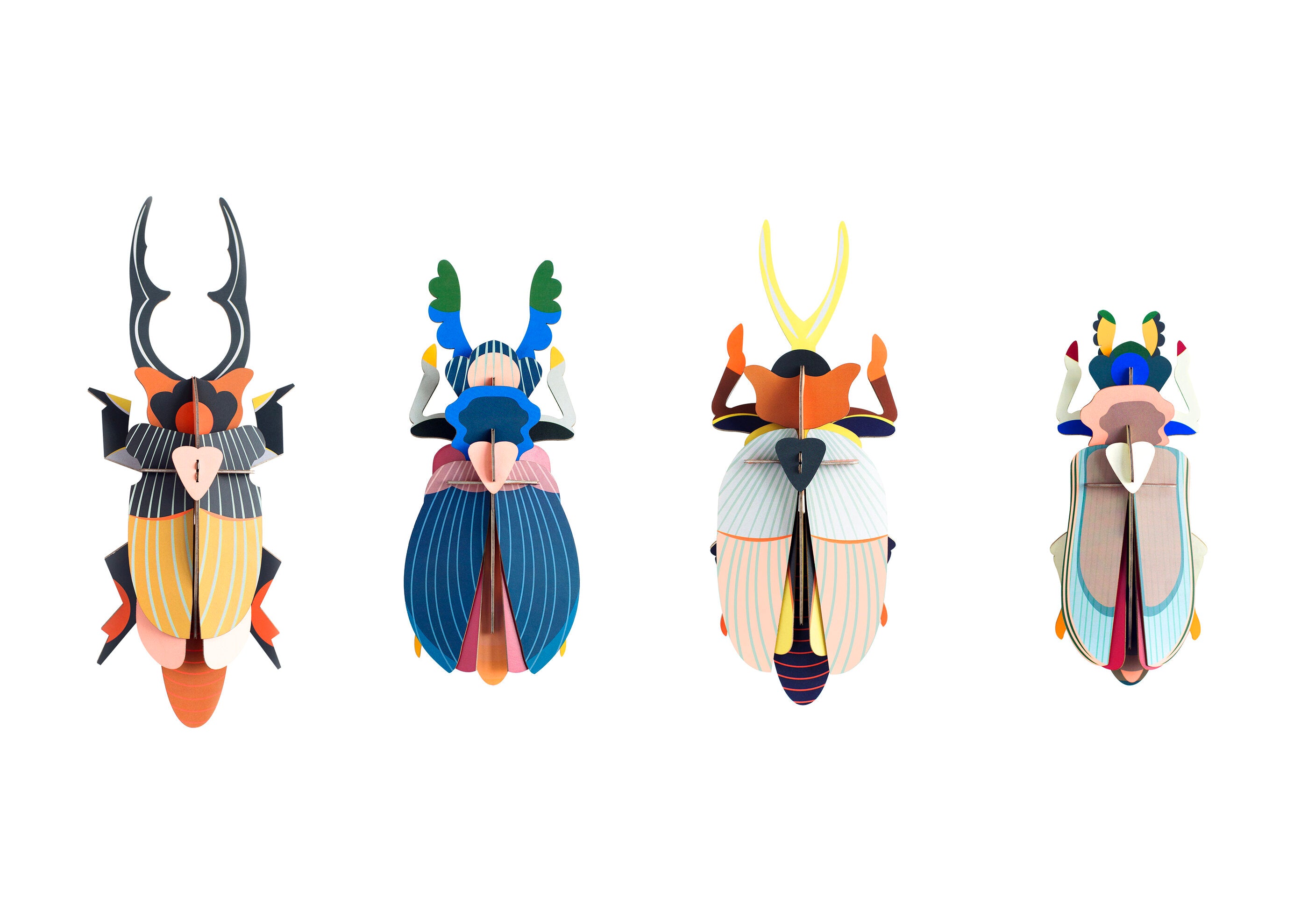 STUDIO ROOF – Little Fish Co.