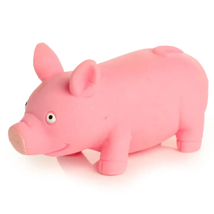 Squeezy Stretchy Pig-Top 30 Decor-Little Fish Co.