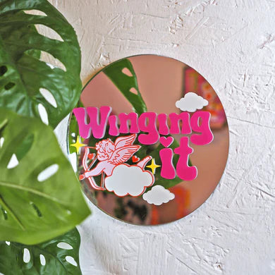 Wingin' it  Mini disc mirror