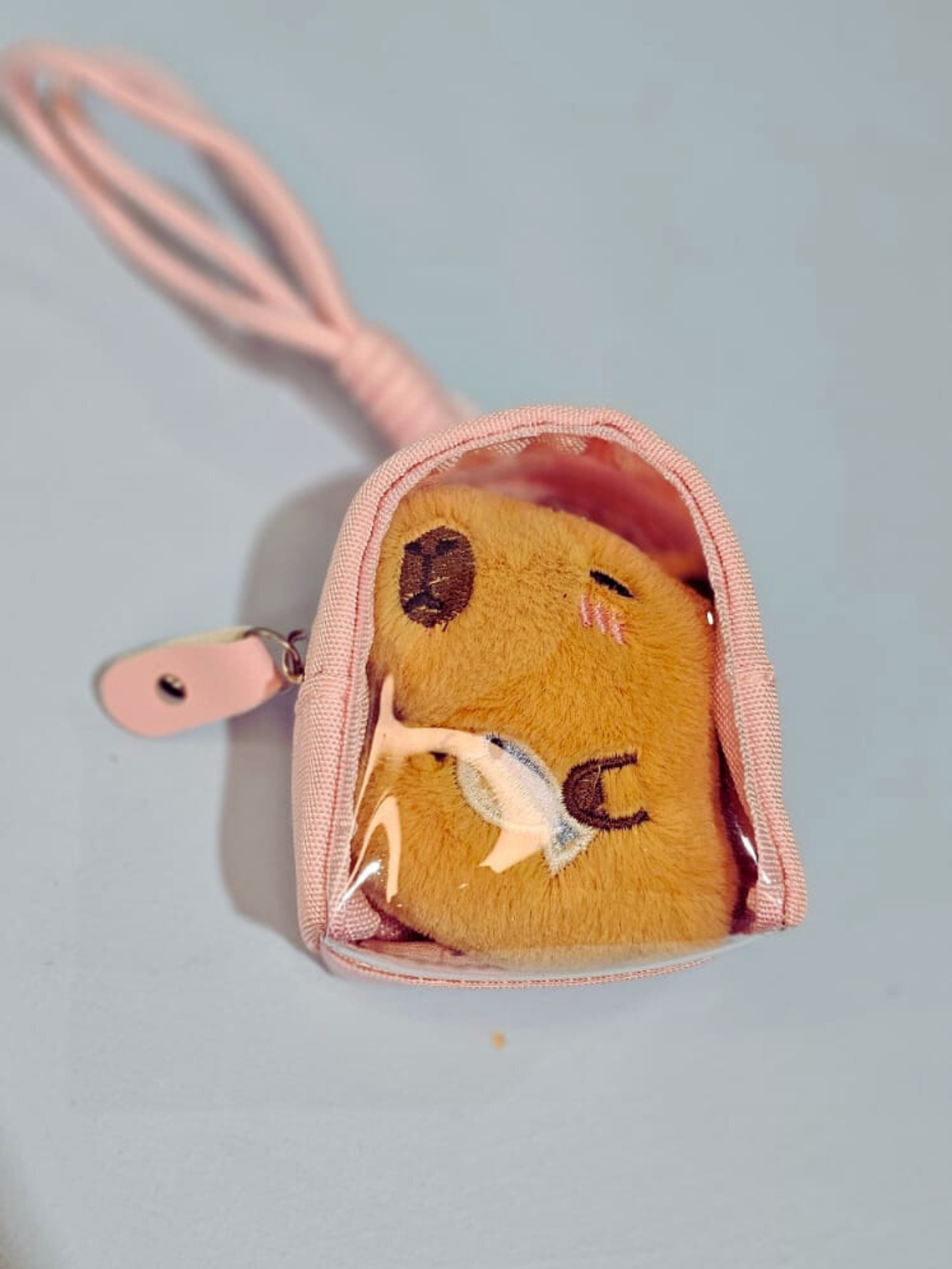 Adopt a Capybara with Backpack - colours assorted-Little Fish Co.