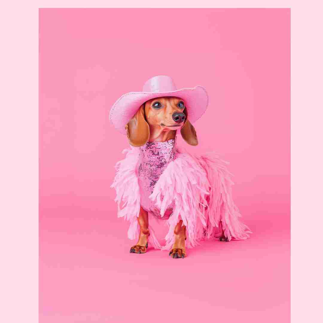 Disco Dog art print-Top 30 Art-Little Fish Co.