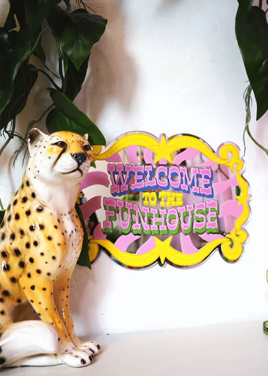 The fun house mirror pink green-New Arrivals-Little Fish Co.