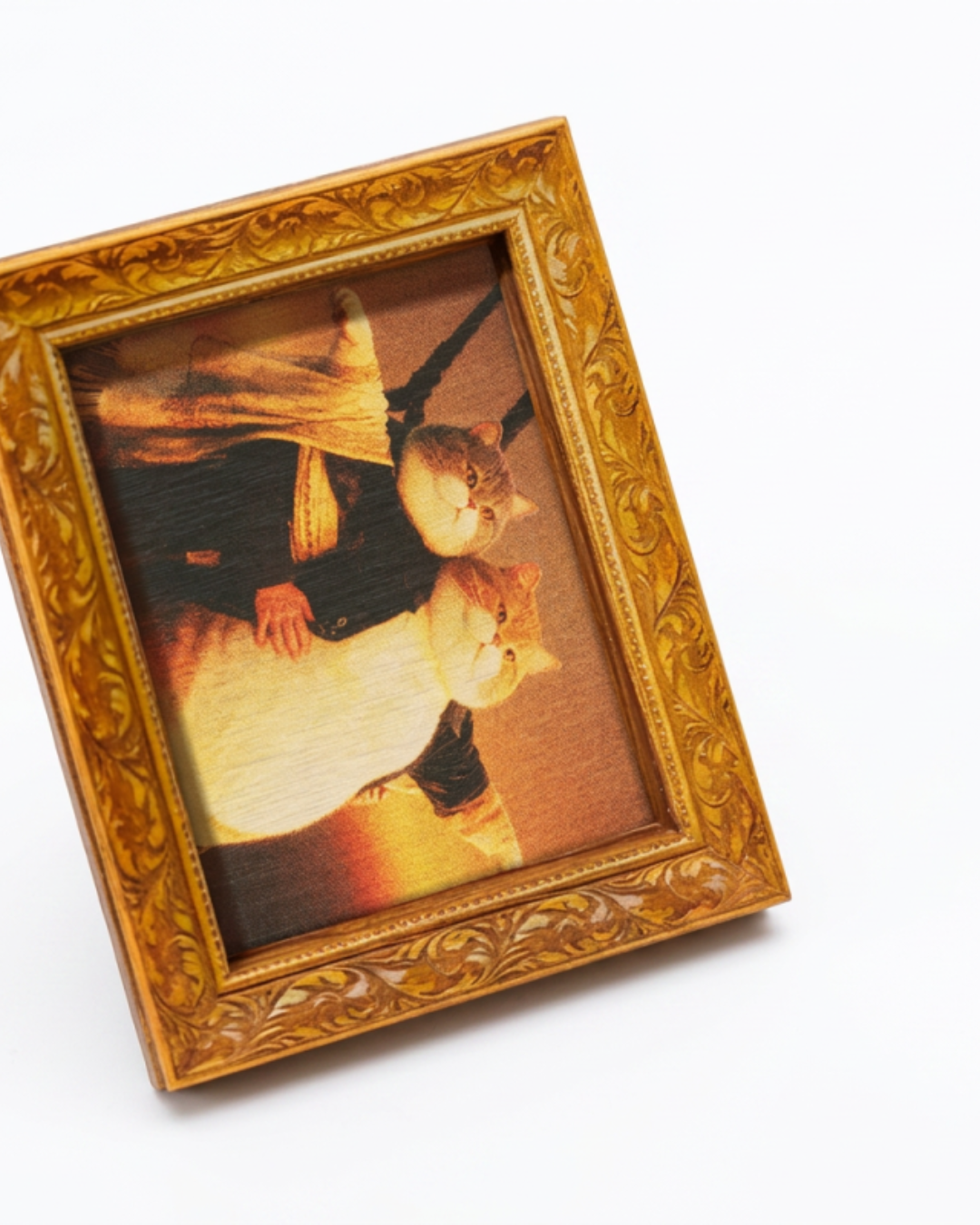 Titanic Cat Fridge magnet
