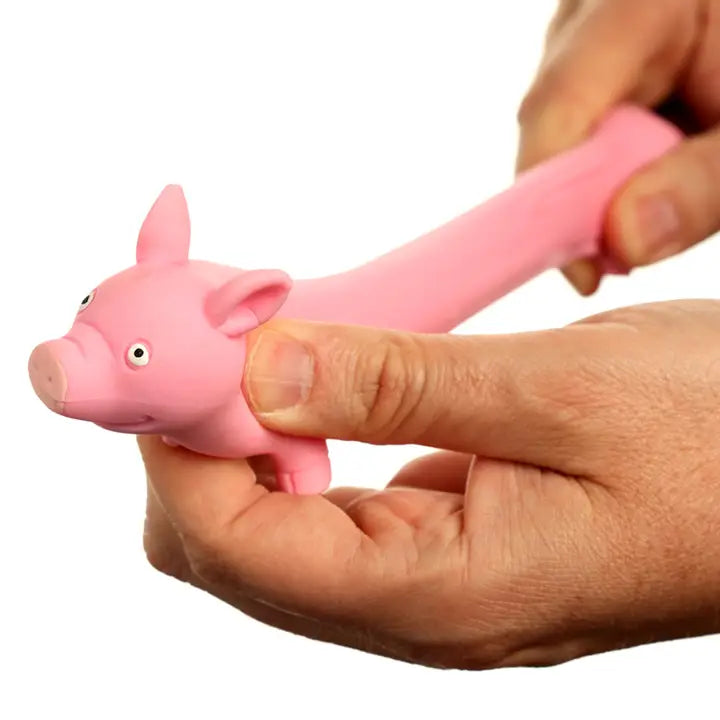 Squeezy Stretchy Pig-Top 30 Decor-Little Fish Co.