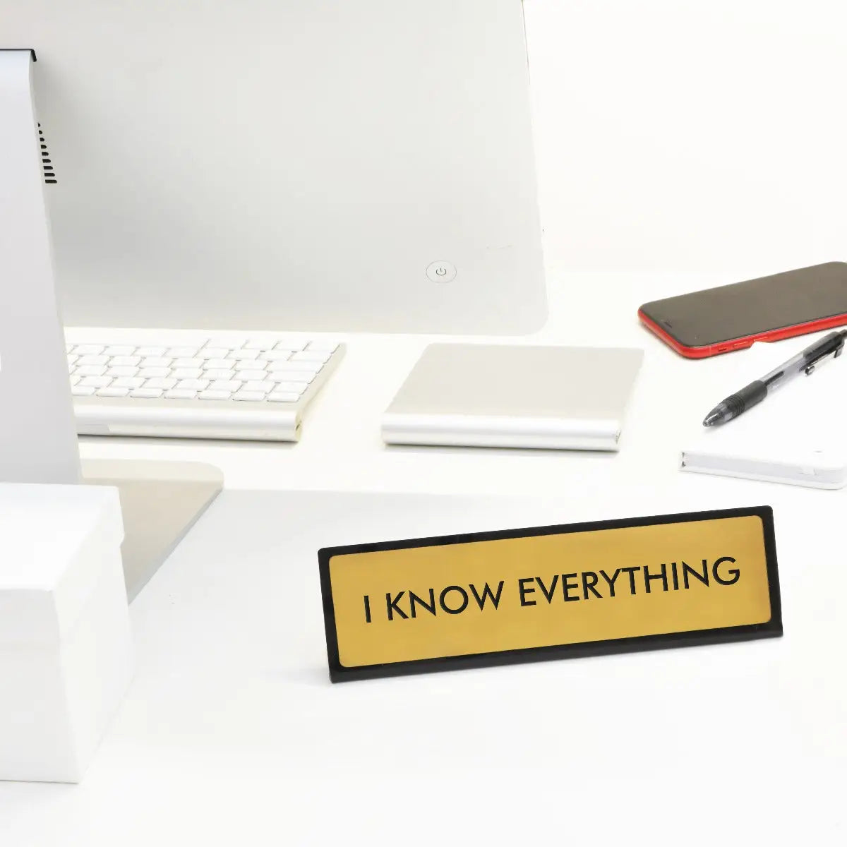 I Know Everything desk sign