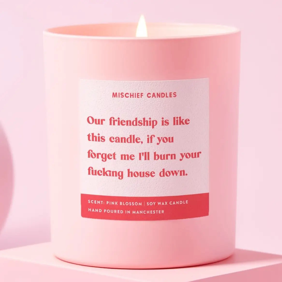 Our friendship is like this candle Gift Candle