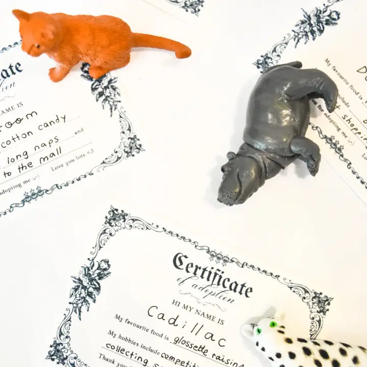 Adopt A Pet | Mini Mystery Animal-Fun-Little Fish Co.