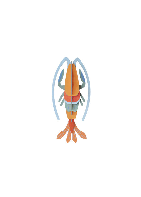 Pomelo Shrimp small-Little Fish Co.