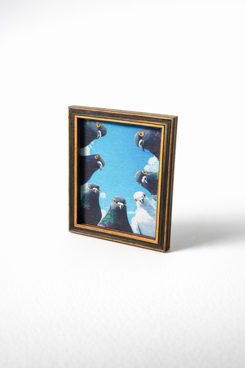 Peeking Pigeons fridge magnet