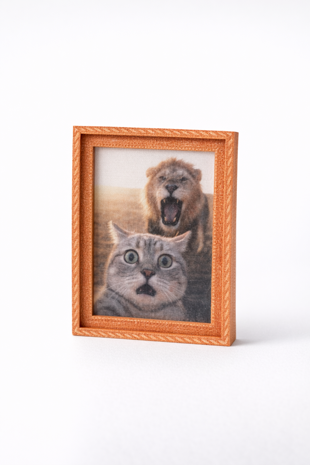 Scaredy Cats fridge magnet