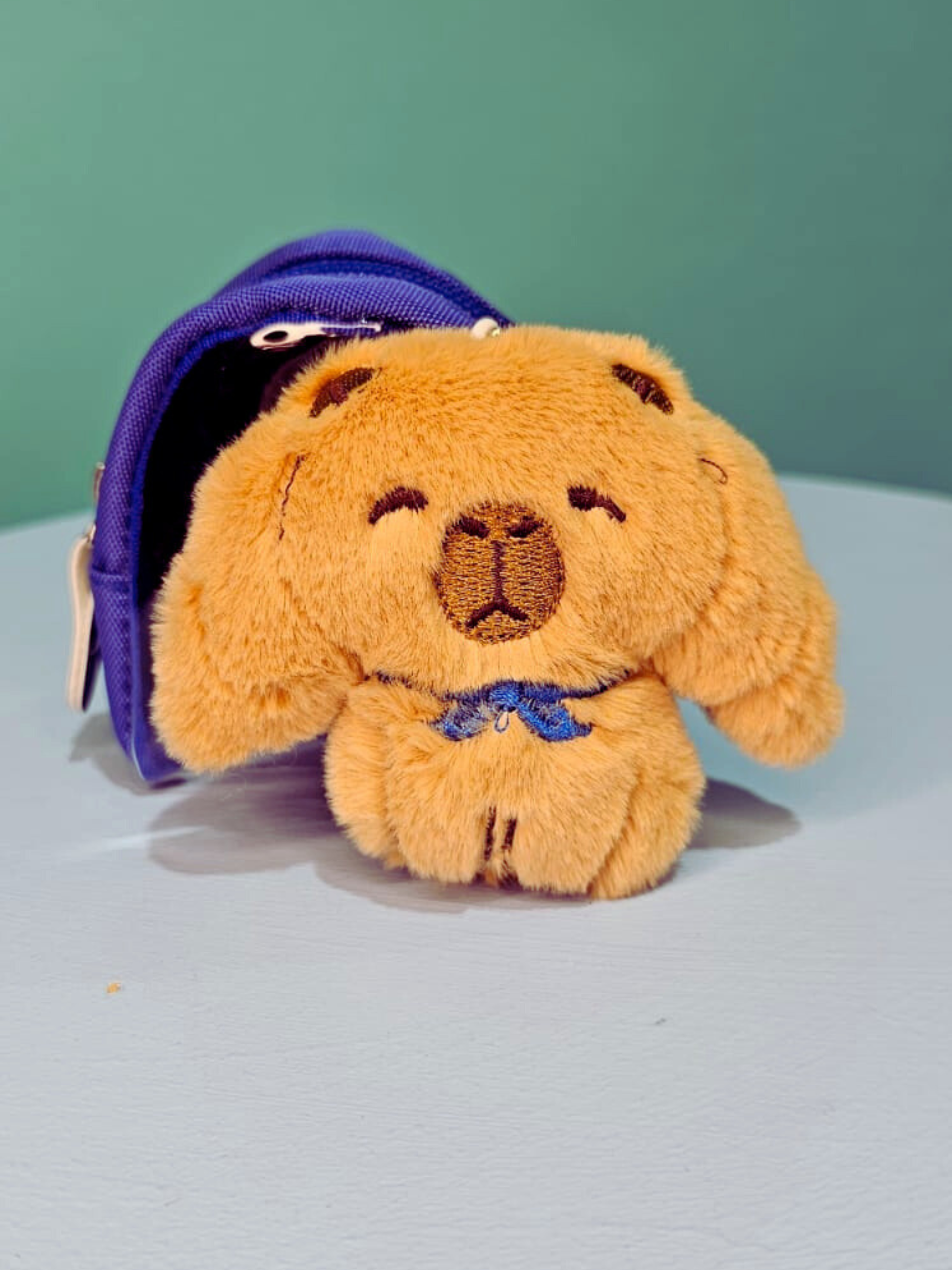 Adopt a Capybara with Backpack - colours assorted-Little Fish Co.