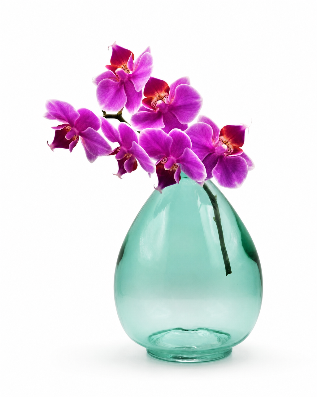 Bud vase propagation vase - colours assorted
