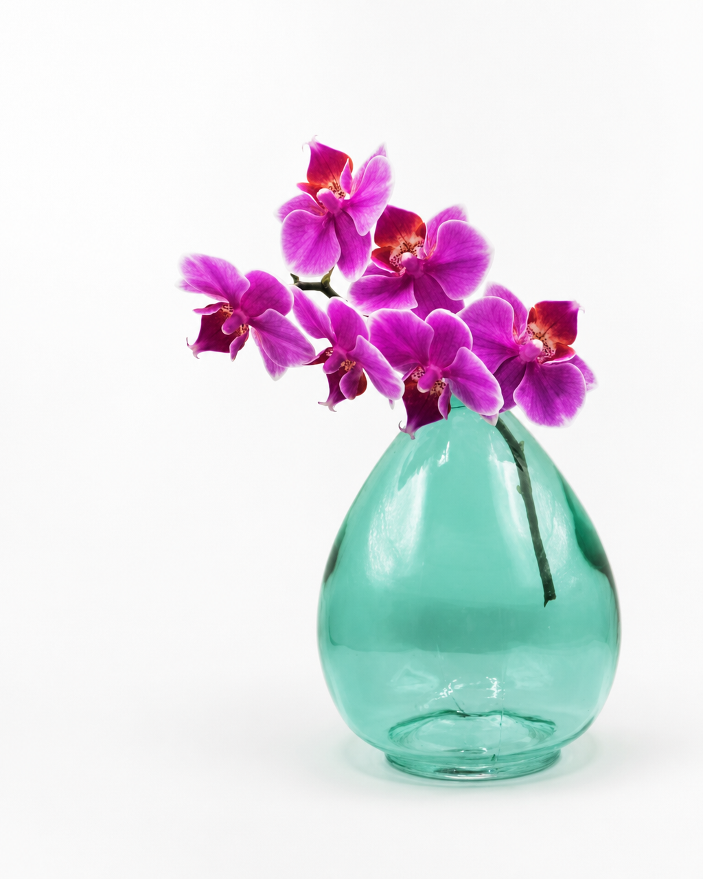 Bud vase propagation vase - colours assorted