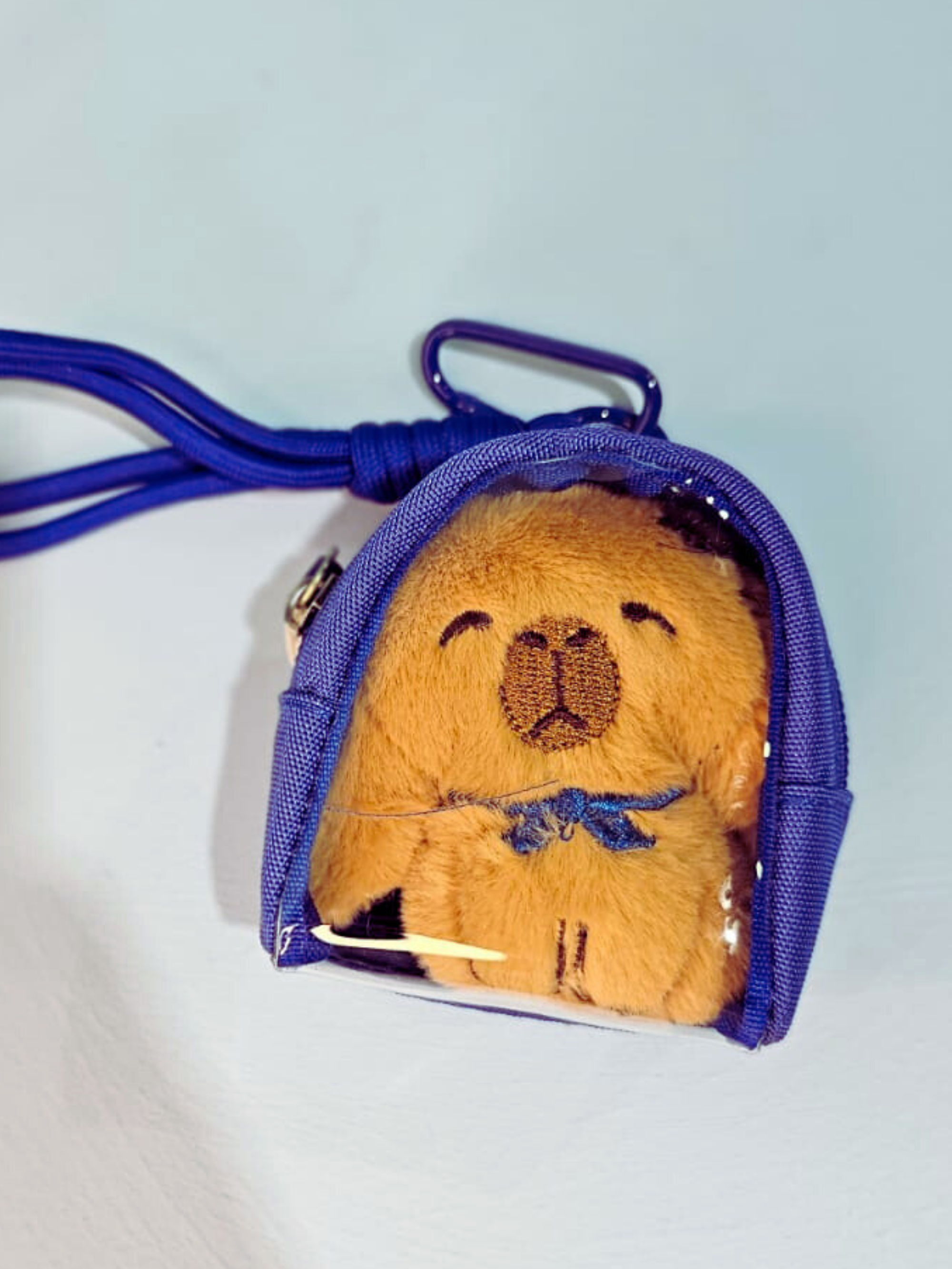 Adopt a Capybara with Backpack - colours assorted-Little Fish Co.