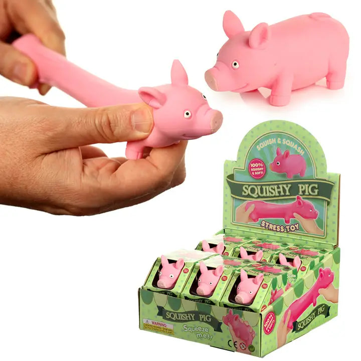Squeezy Stretchy Pig-Top 30 Decor-Little Fish Co.