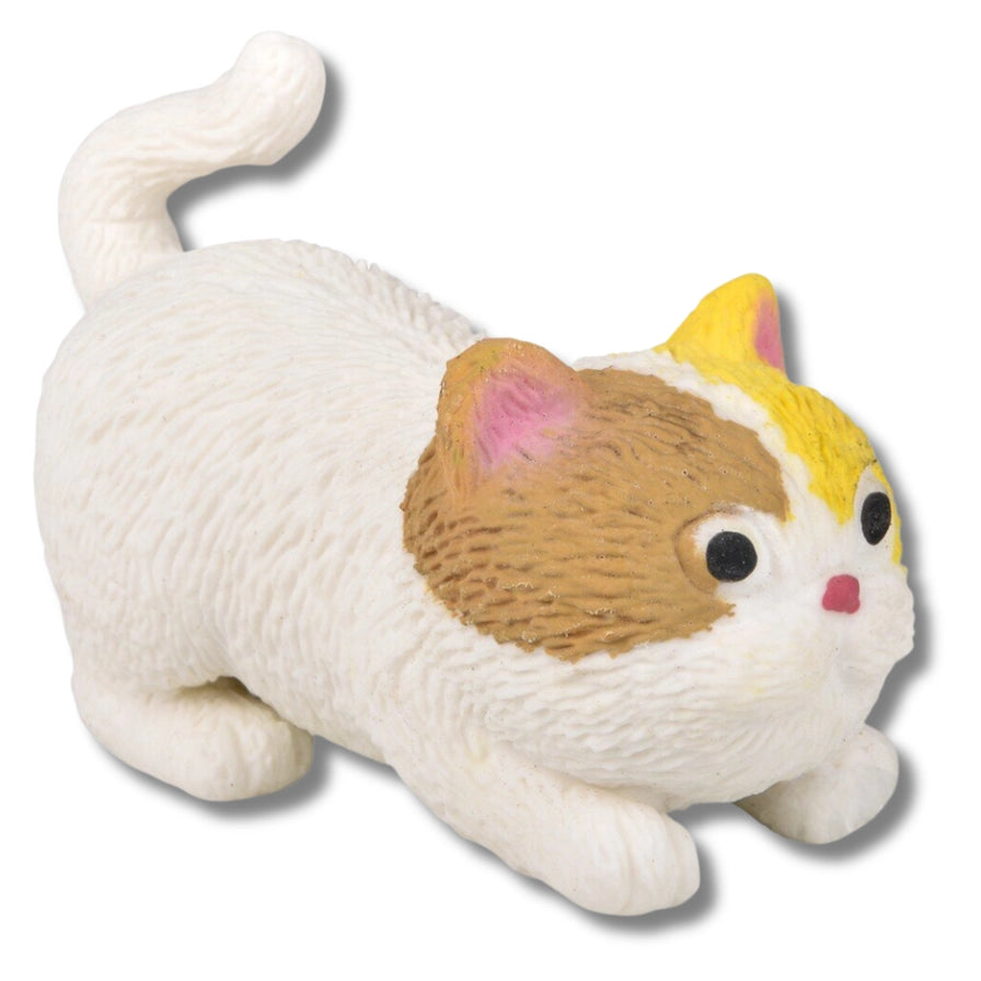 Squeezy Stretchy Cat