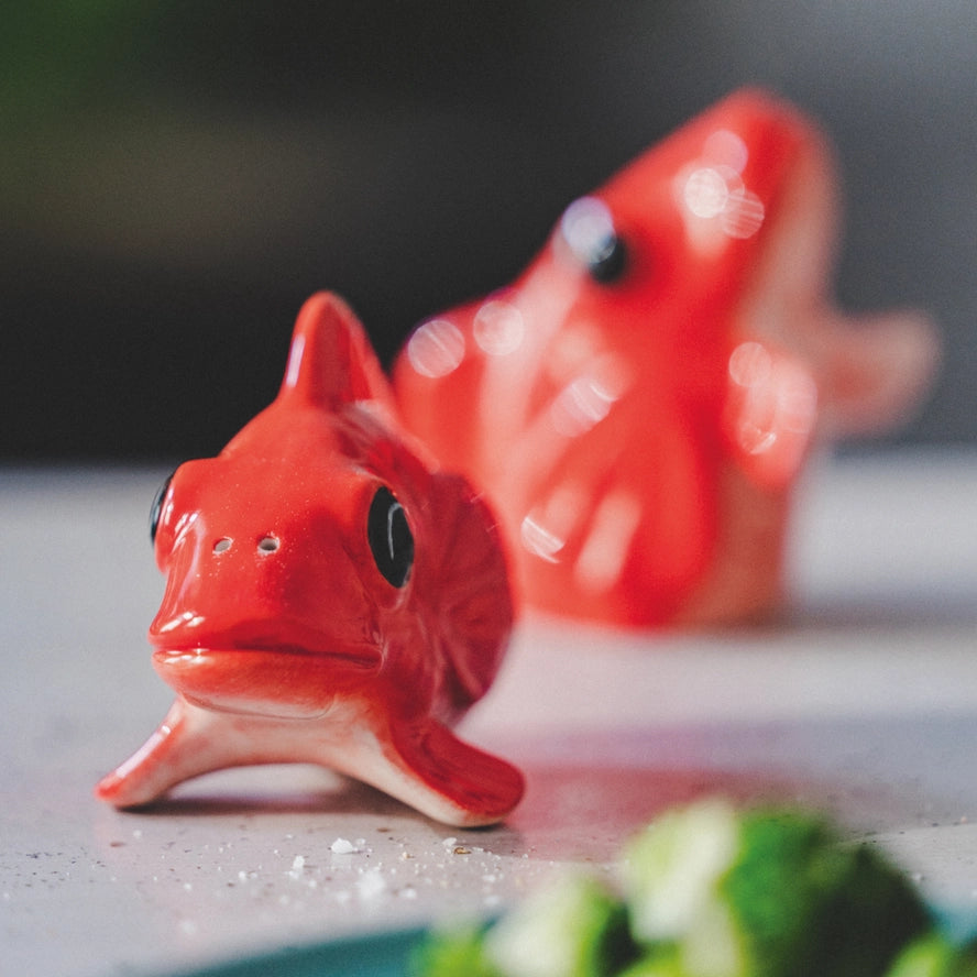 Fishes for dishes salt and pepper-Homeware-Little Fish Co.