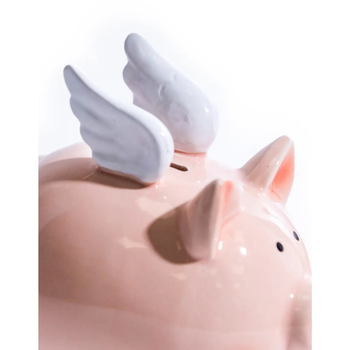 Flying Pig Ceramic  money box