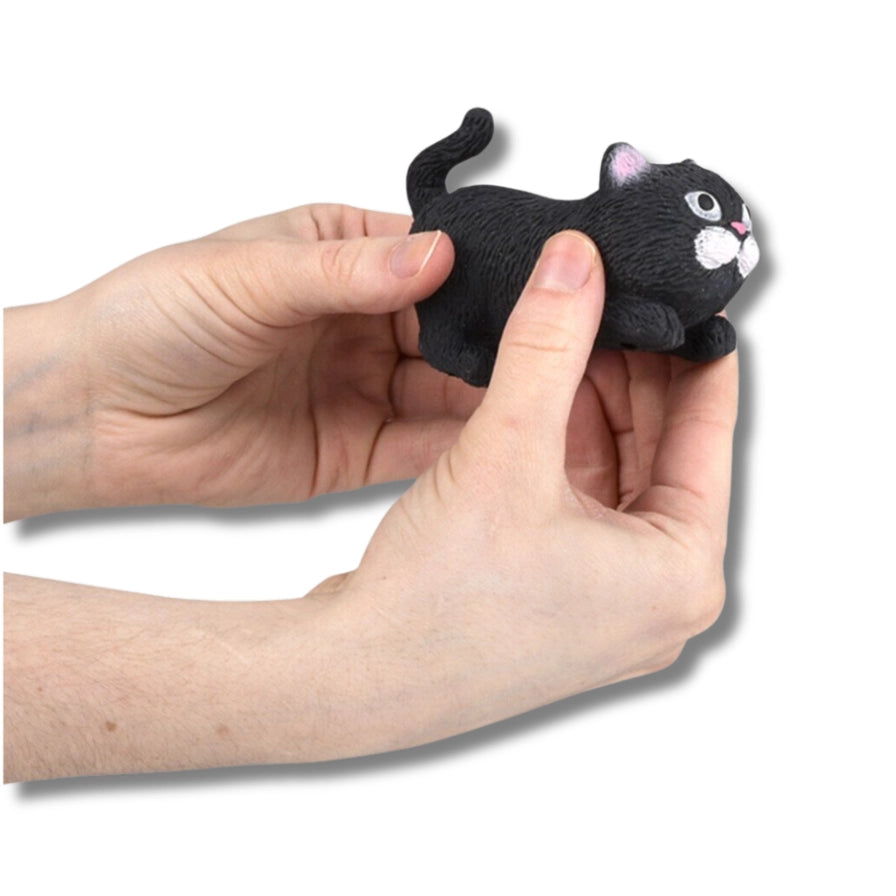 Squeezy Stretchy Cat