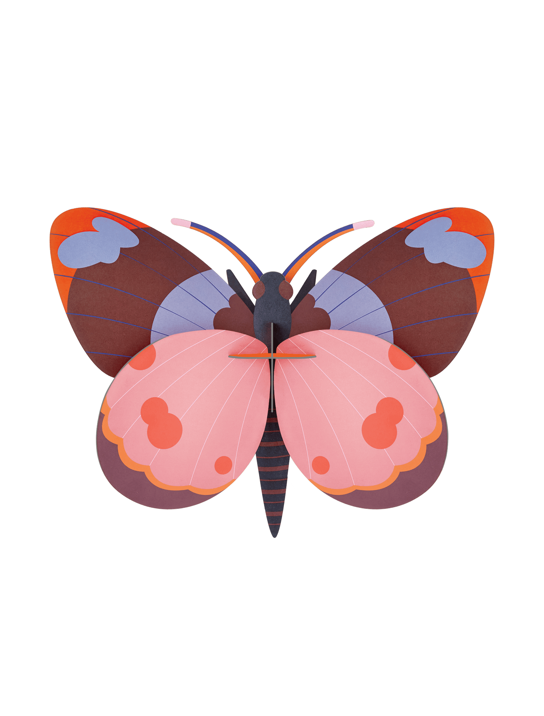 Studio Roof Bellissima Butterfly-New Arrivals 2025-Little Fish Co.
