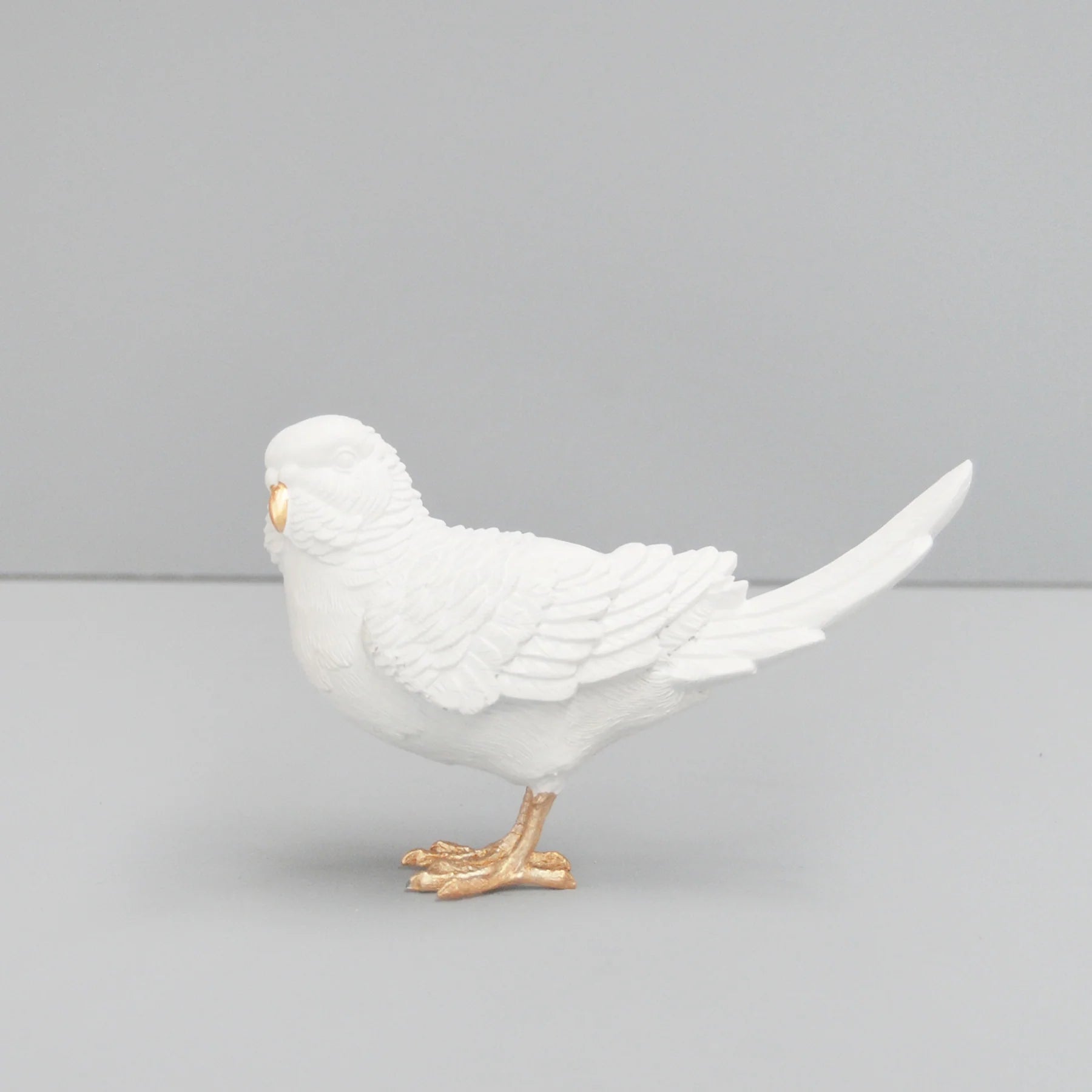 Budgie White / Gold-Little Fish Co.