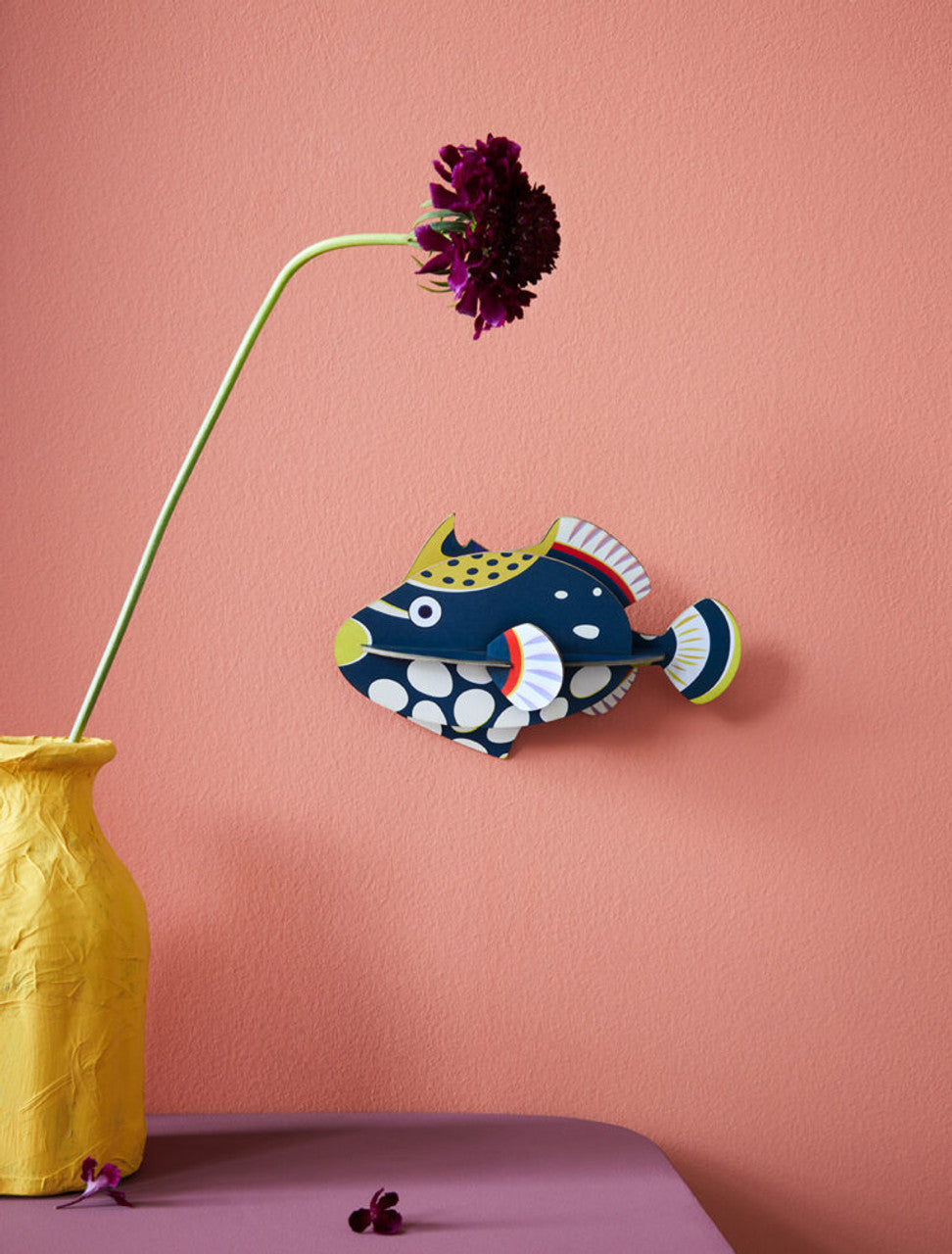 Clown Triggerfish-Little Fish Co.