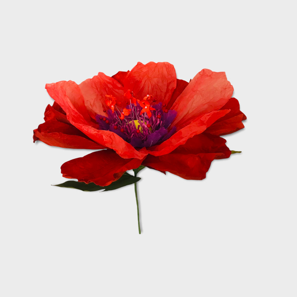 Dancing flower - Orange-Little Fish Co.