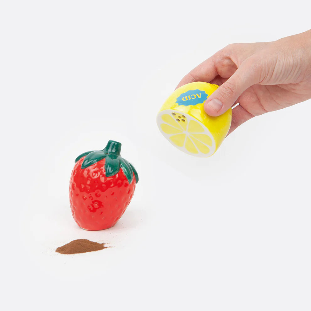 Strawberry and Lemon salt and pepper shakers-New Arrivals 2025-Little Fish Co.