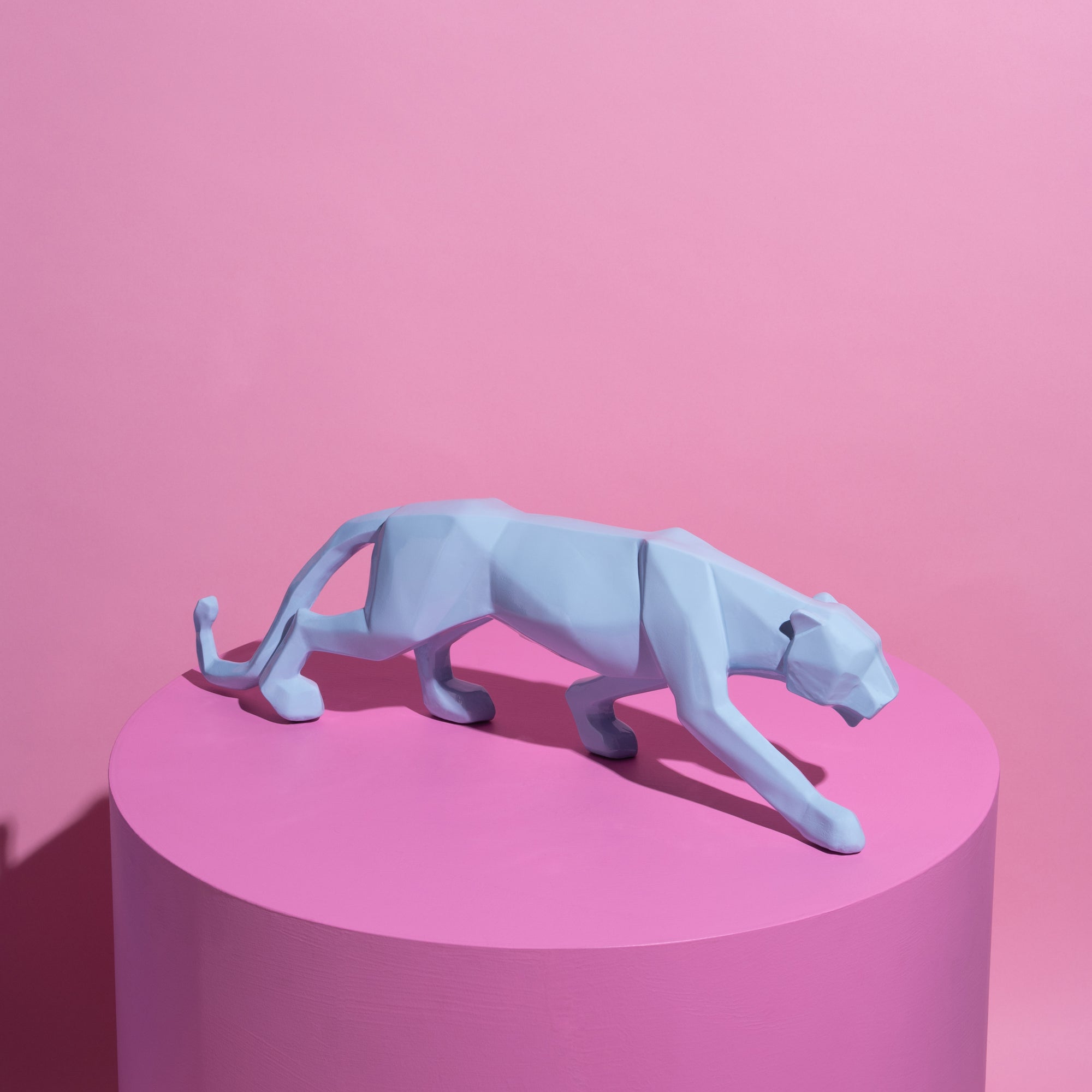 Jack Jaguar Light Blue Gloss-New Arrivals-Little Fish Co.