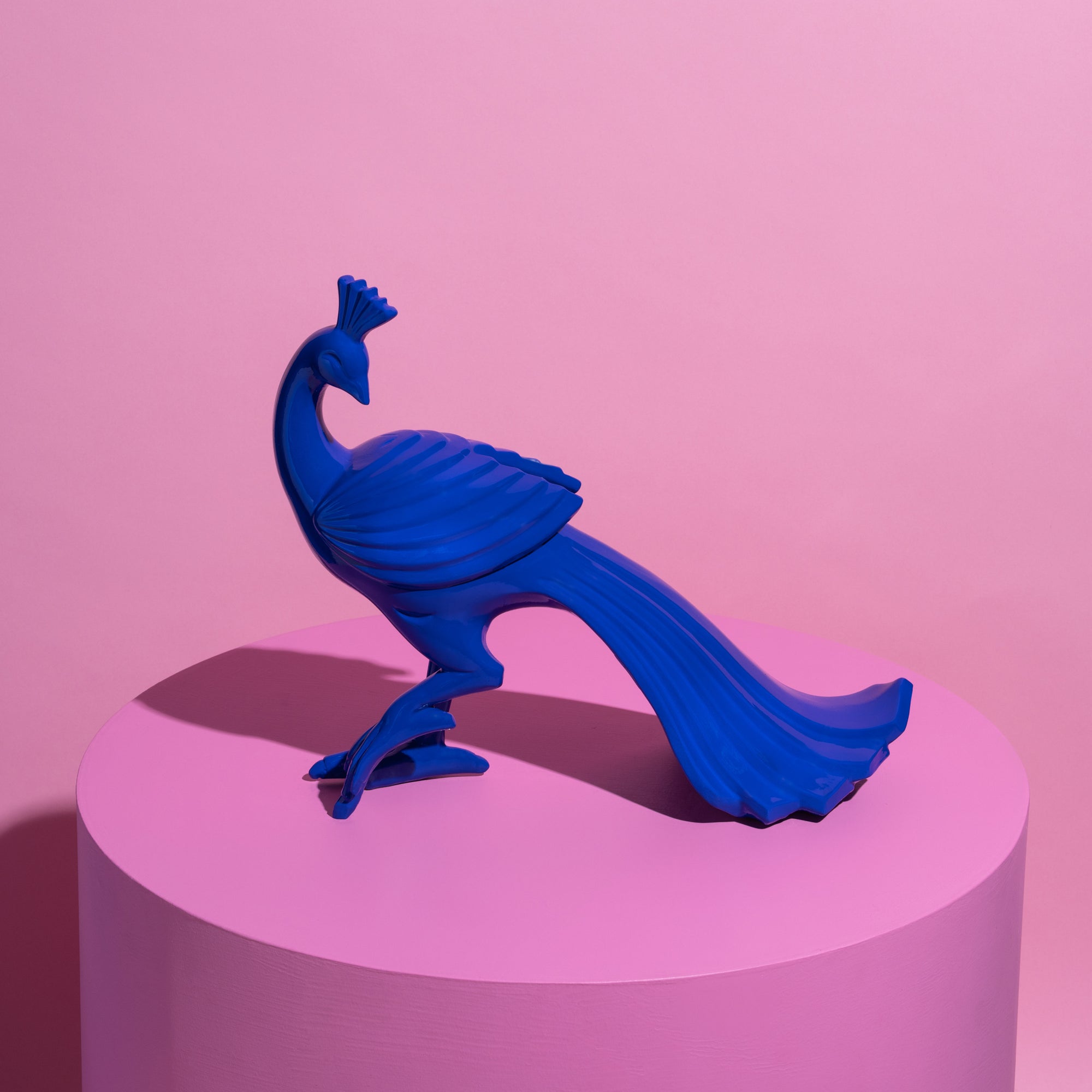 Pete Peacock Cobalt Blue Gloss-New Arrivals-Little Fish Co.