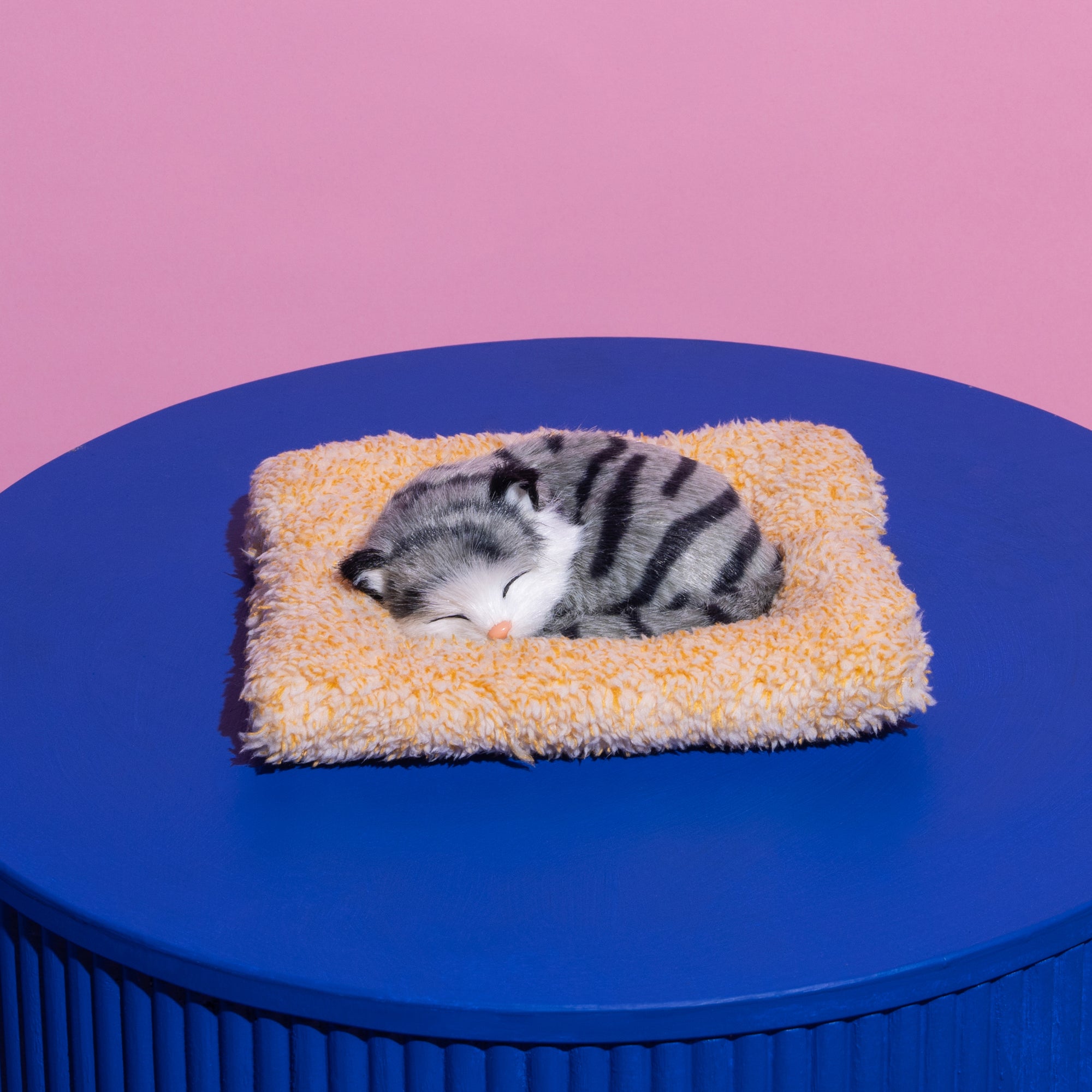 Stripe Grey Sleeping kitten-Fun-Little Fish Co.