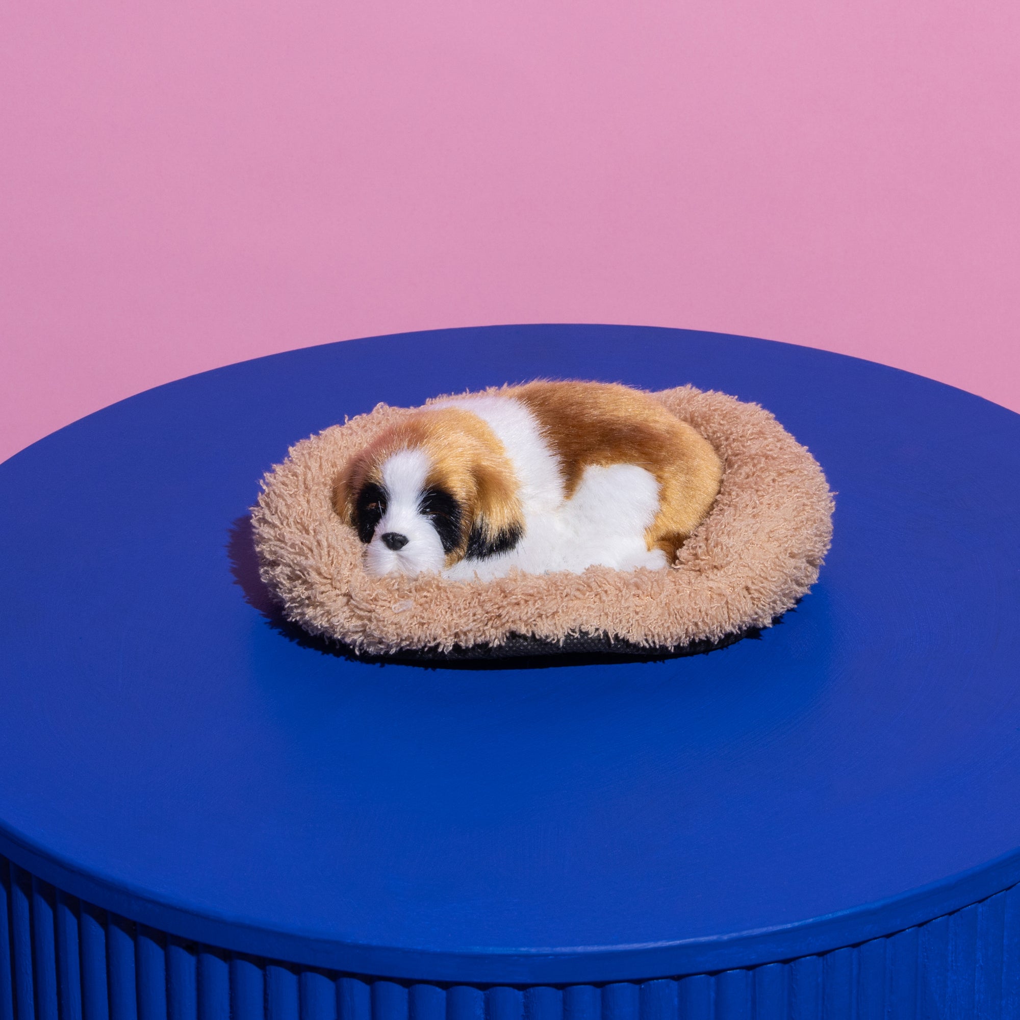 Sleeping St Bernard Puppy-Fun-Little Fish Co.