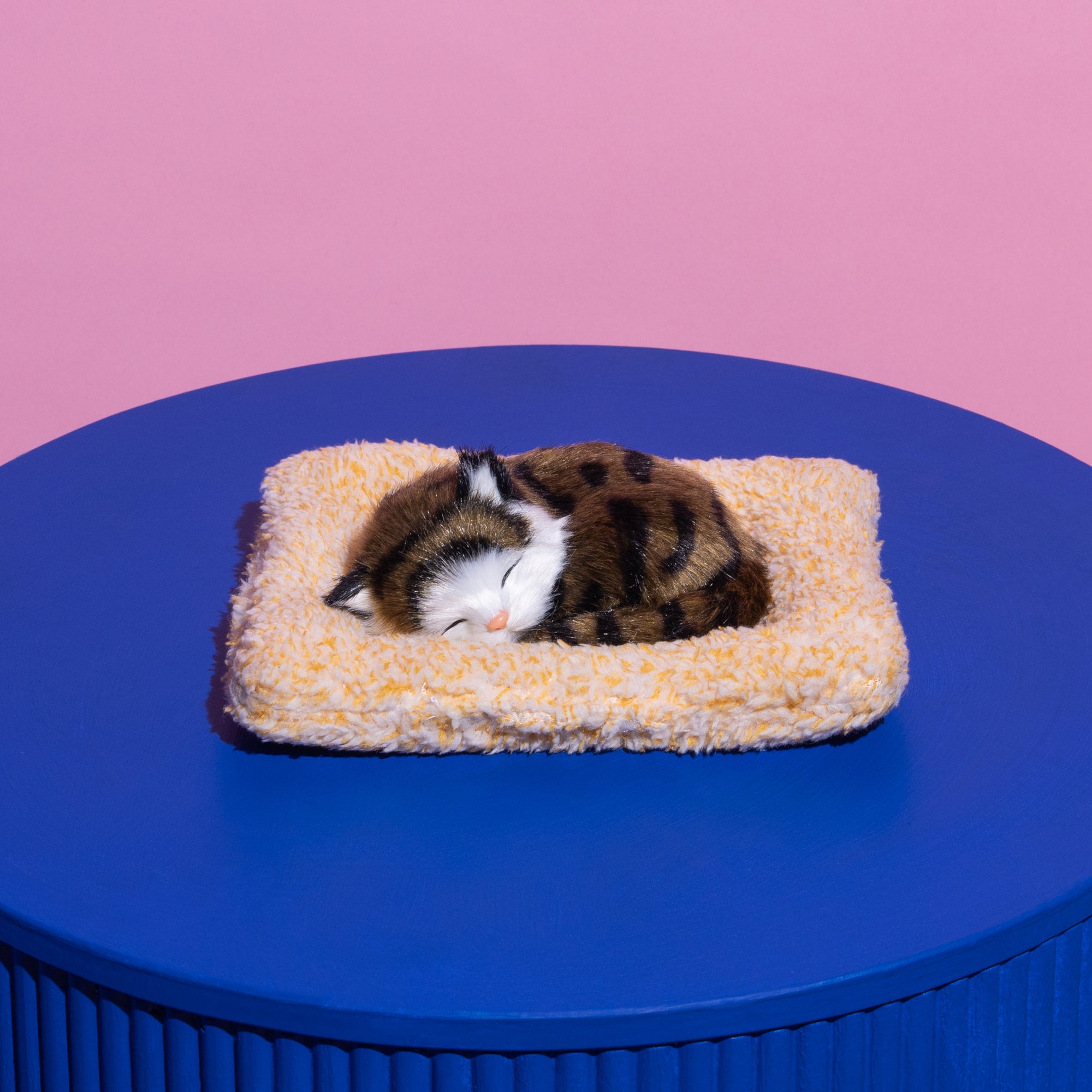 Stripe Brown Sleeping kitten-Fun-Little Fish Co.