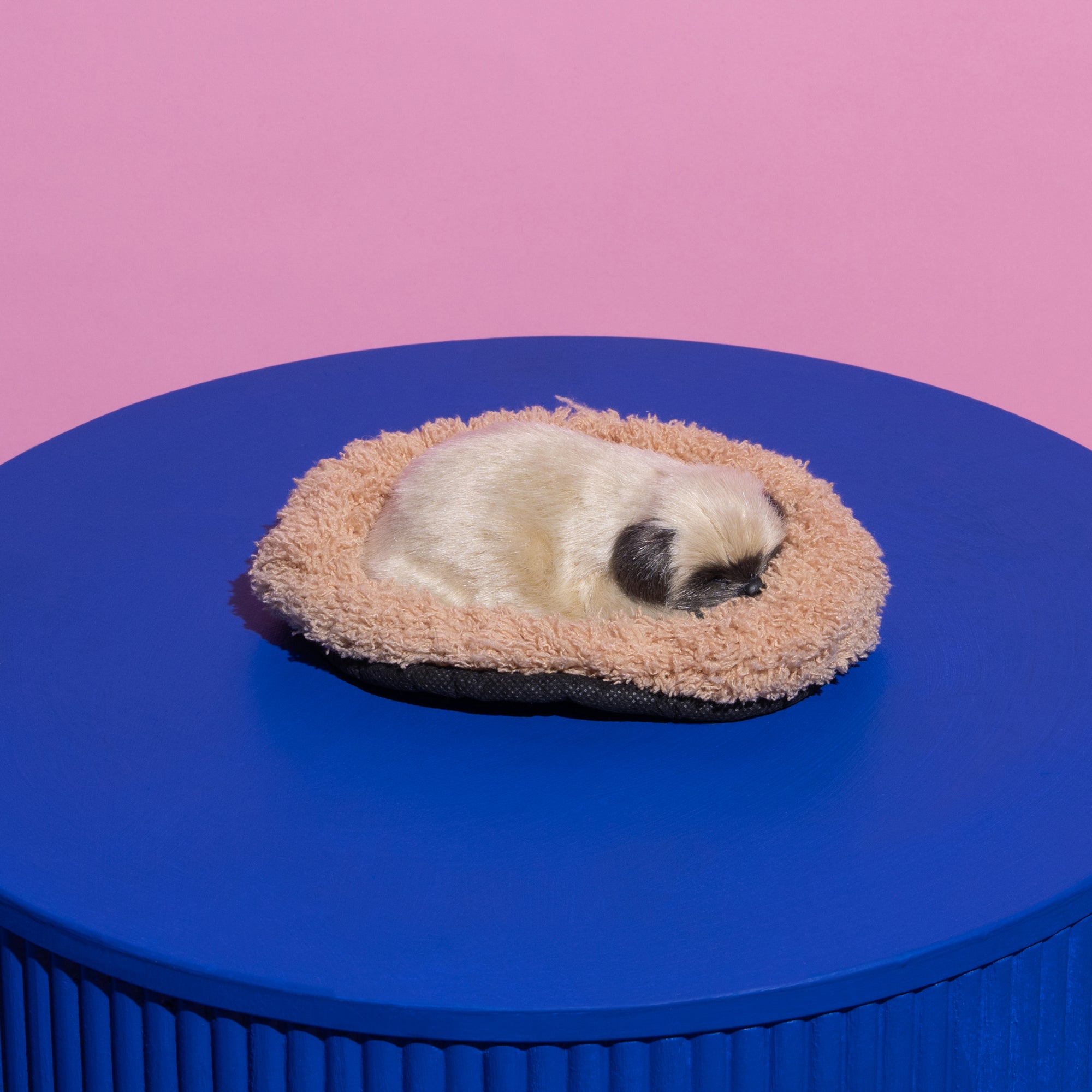 Sleeping Pug Puppy-Fun-Little Fish Co.