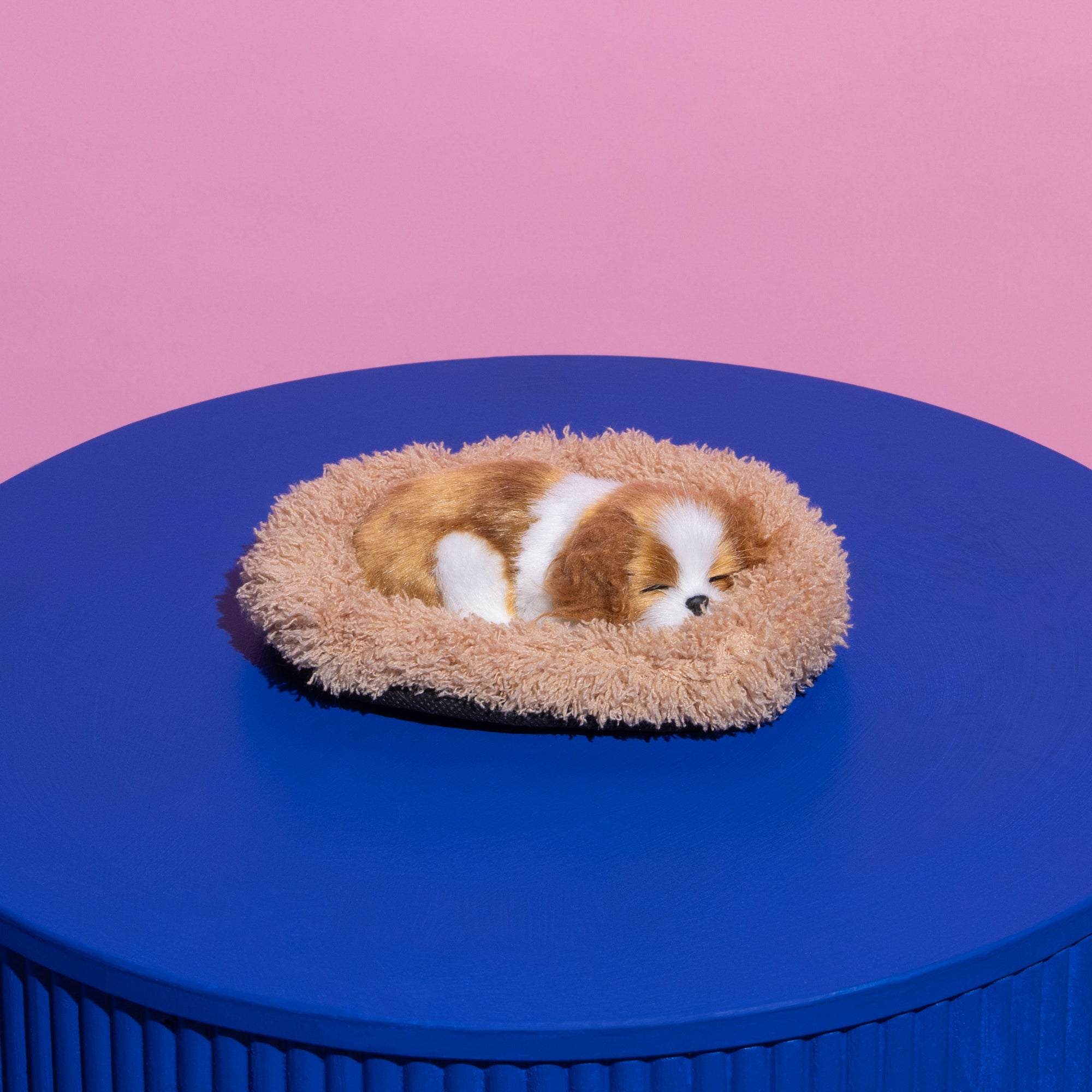 Sleeping King Charles Cavalier Puppy-Fun-Little Fish Co.