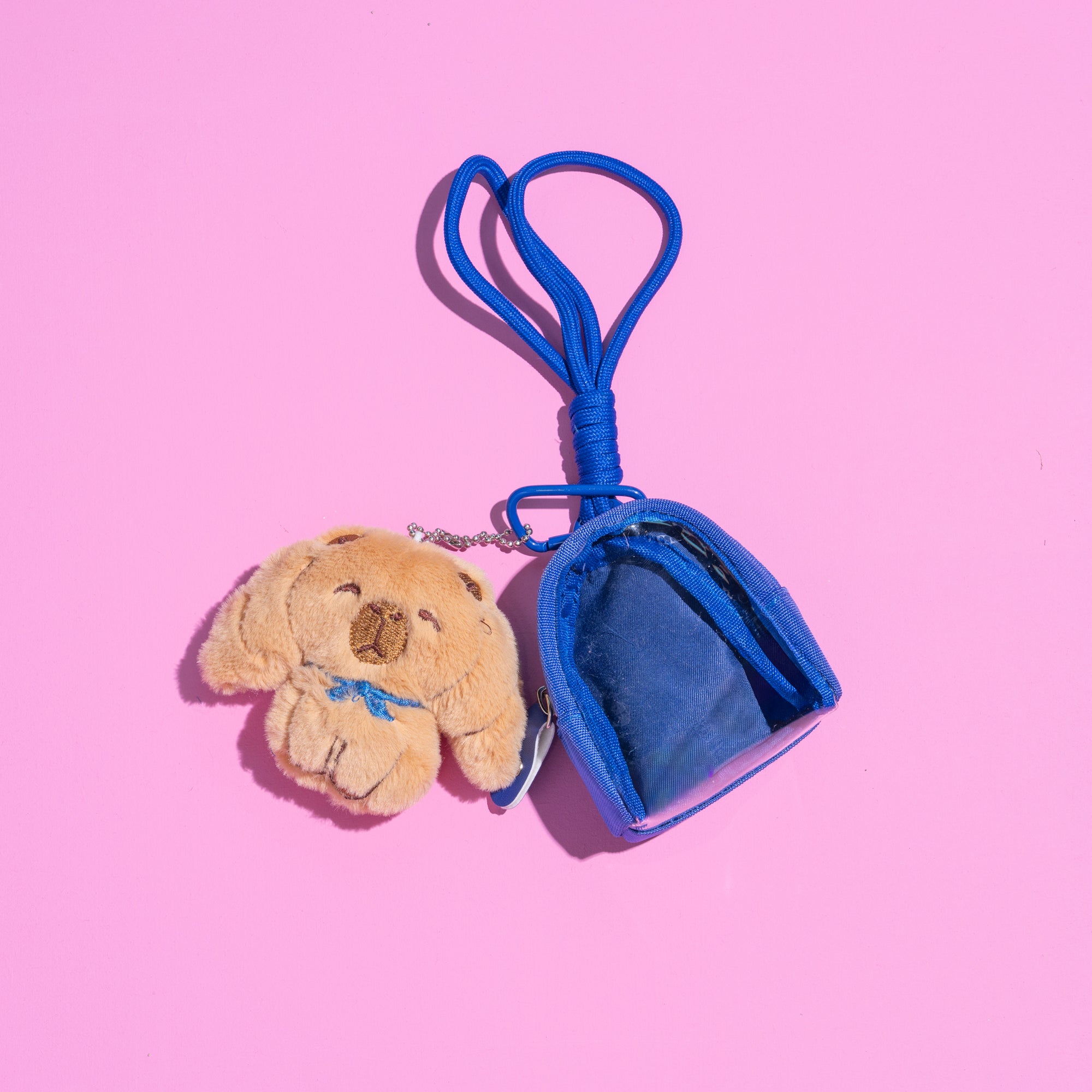 Adopt a Capybara with Backpack - colours assorted-Little Fish Co.