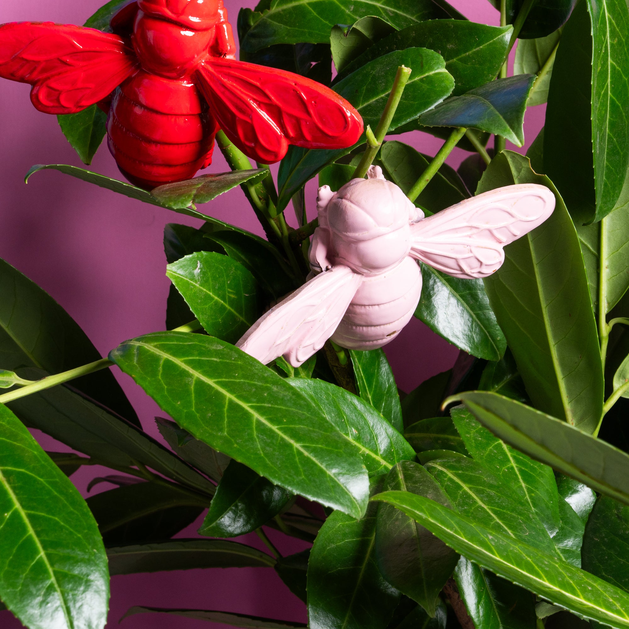 Bumble Bee Wall Jewel - Fuchsia-New Arrivals-Little Fish Co.