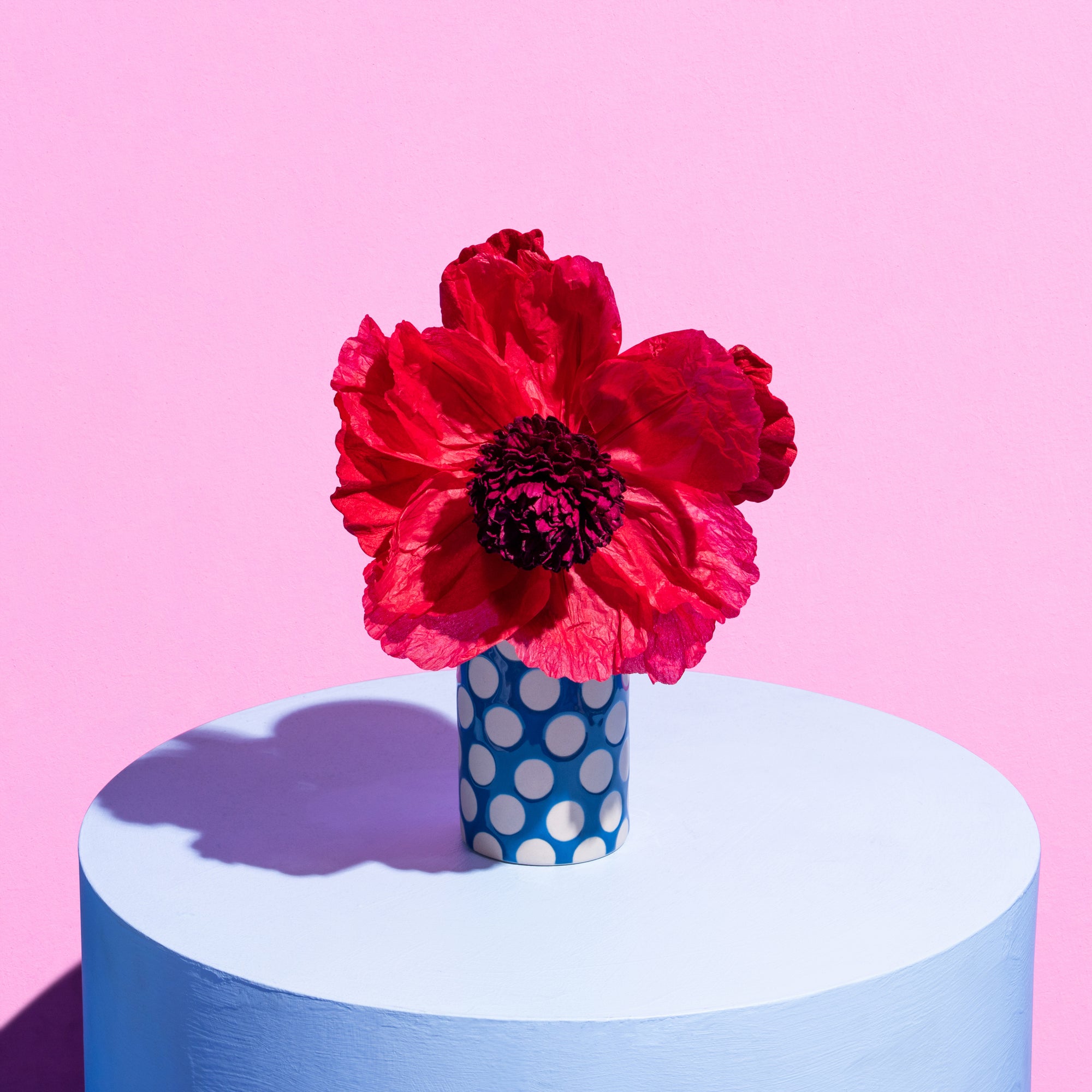 Helenium Paper Flower Red