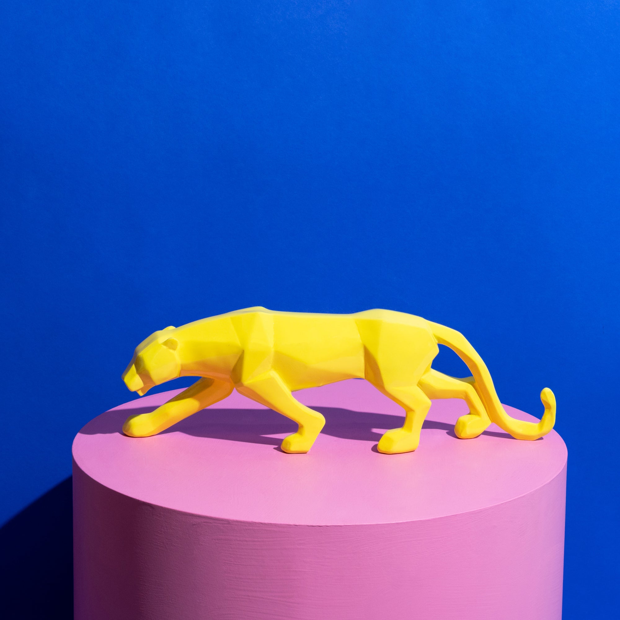 Jack Jaguar Yellow Gloss-New Arrivals-Little Fish Co.