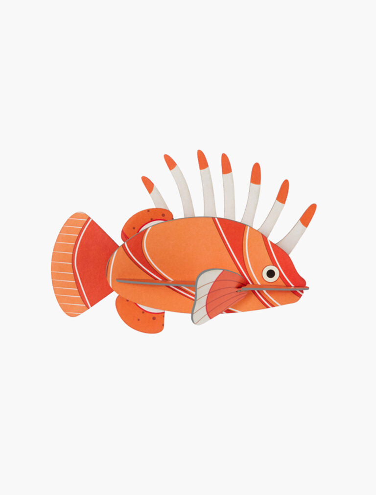 Lionfish-Little Fish Co.