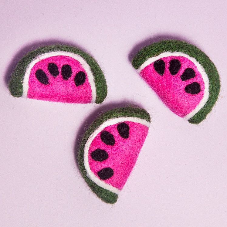 Watermelon magnet set of 3-New Arrivals-Little Fish Co.