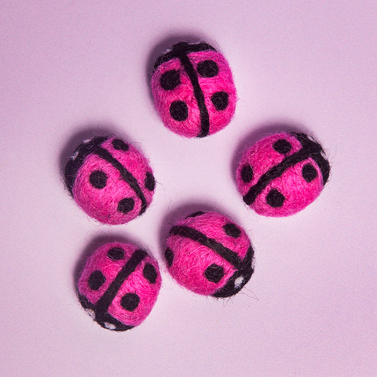 Hot pink lady bugs set of 5 magnets-New Arrivals-Little Fish Co.