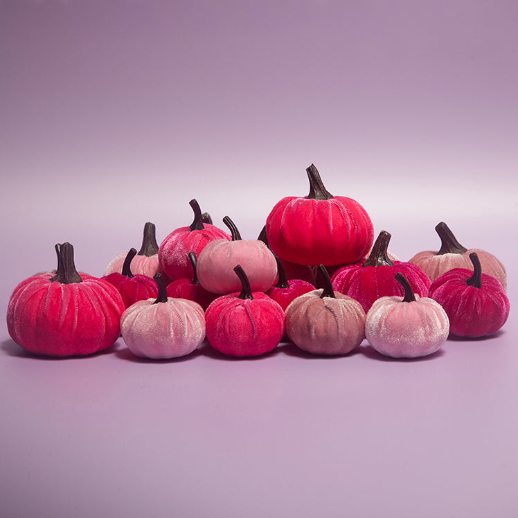 16 Piece velvet pink Pumpkin set-Fun-Little Fish Co.