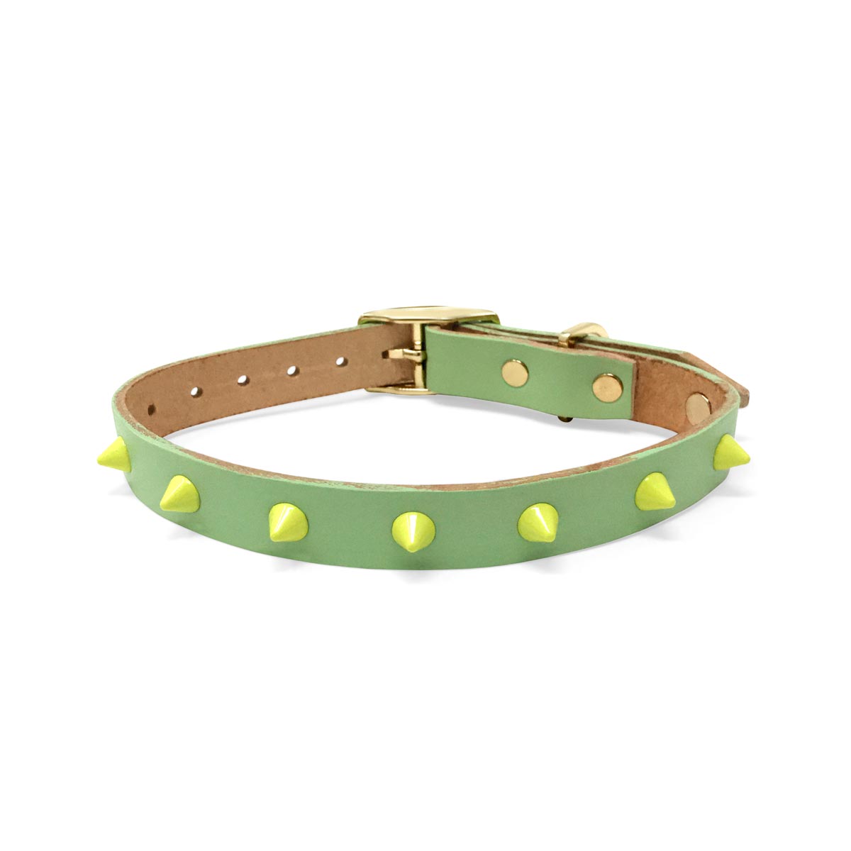 Smooth Spike Dog Collar - Lime Pistachio-Little Fish Co.