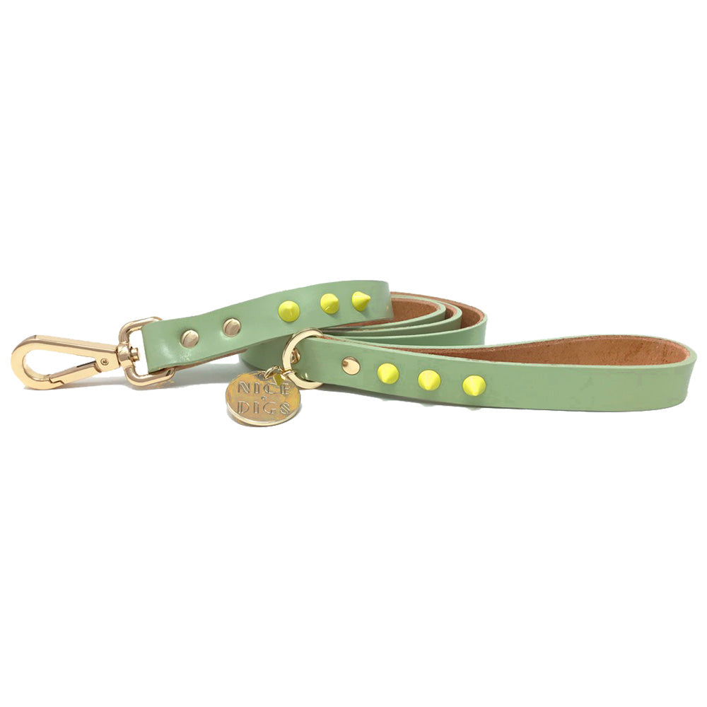Smooth Spike Dog Leash - Lime Pistachio-Little Fish Co.