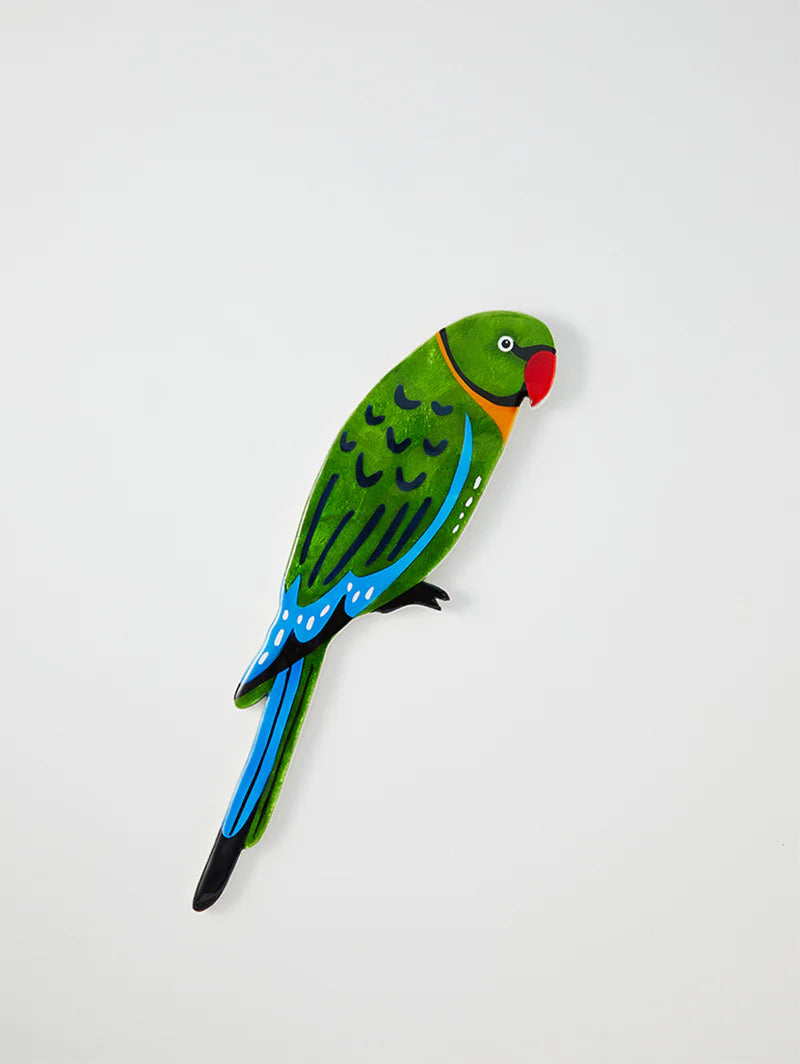 Aerial Parrot Wall art-Decor-Little Fish Co.