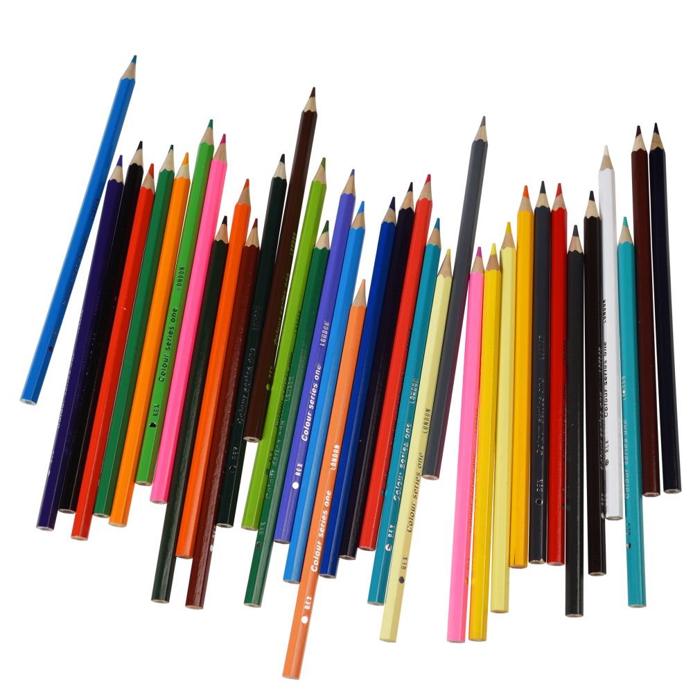 Wild Wonders 36 colouring pencils-Little Fish Co.
