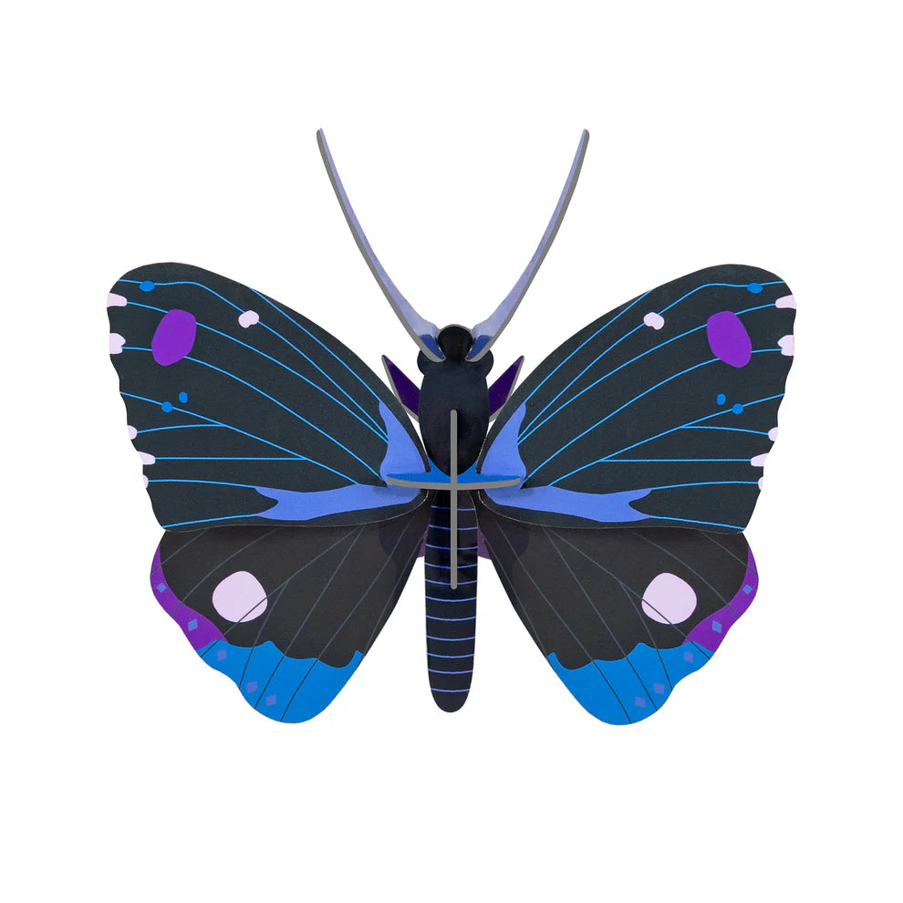 Studio Roof  Blue Diadem Butterfly