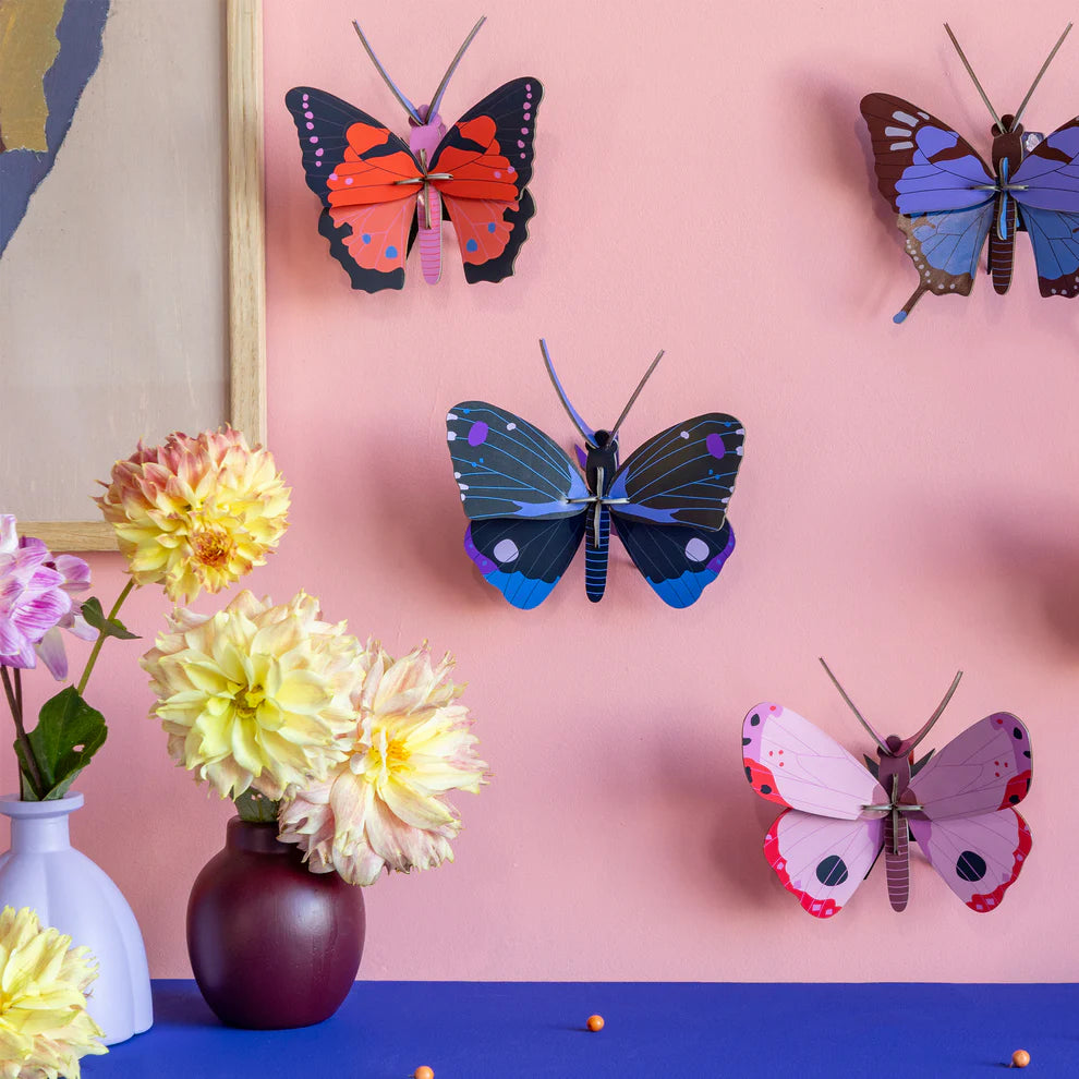 Studio Roof  Blue Diadem Butterfly