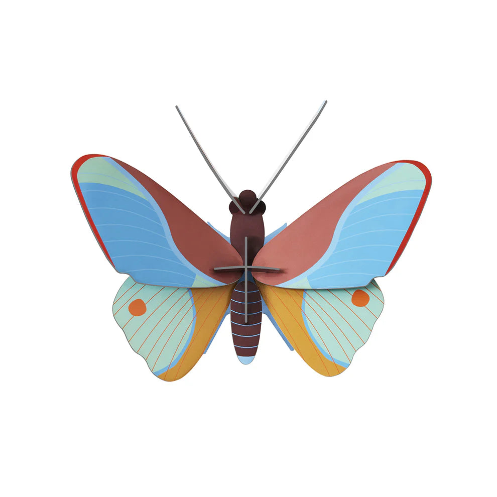 Claudina Butterfly-Top 30 Decor-Little Fish Co.